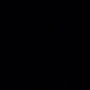 Meet your Posher, Jaidyn